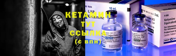 гидра Богородицк