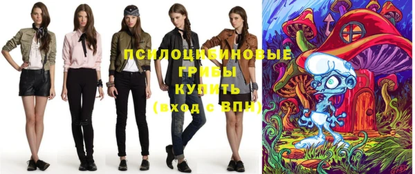 молекула духа Беломорск