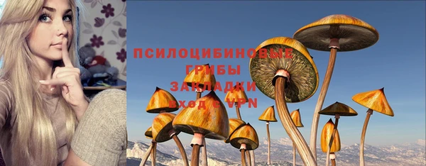 гидра Богородицк